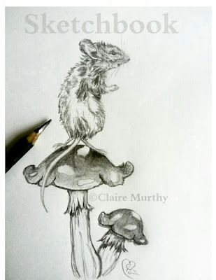 Wildlife drawing and sketching Wildlife drawing and sketching