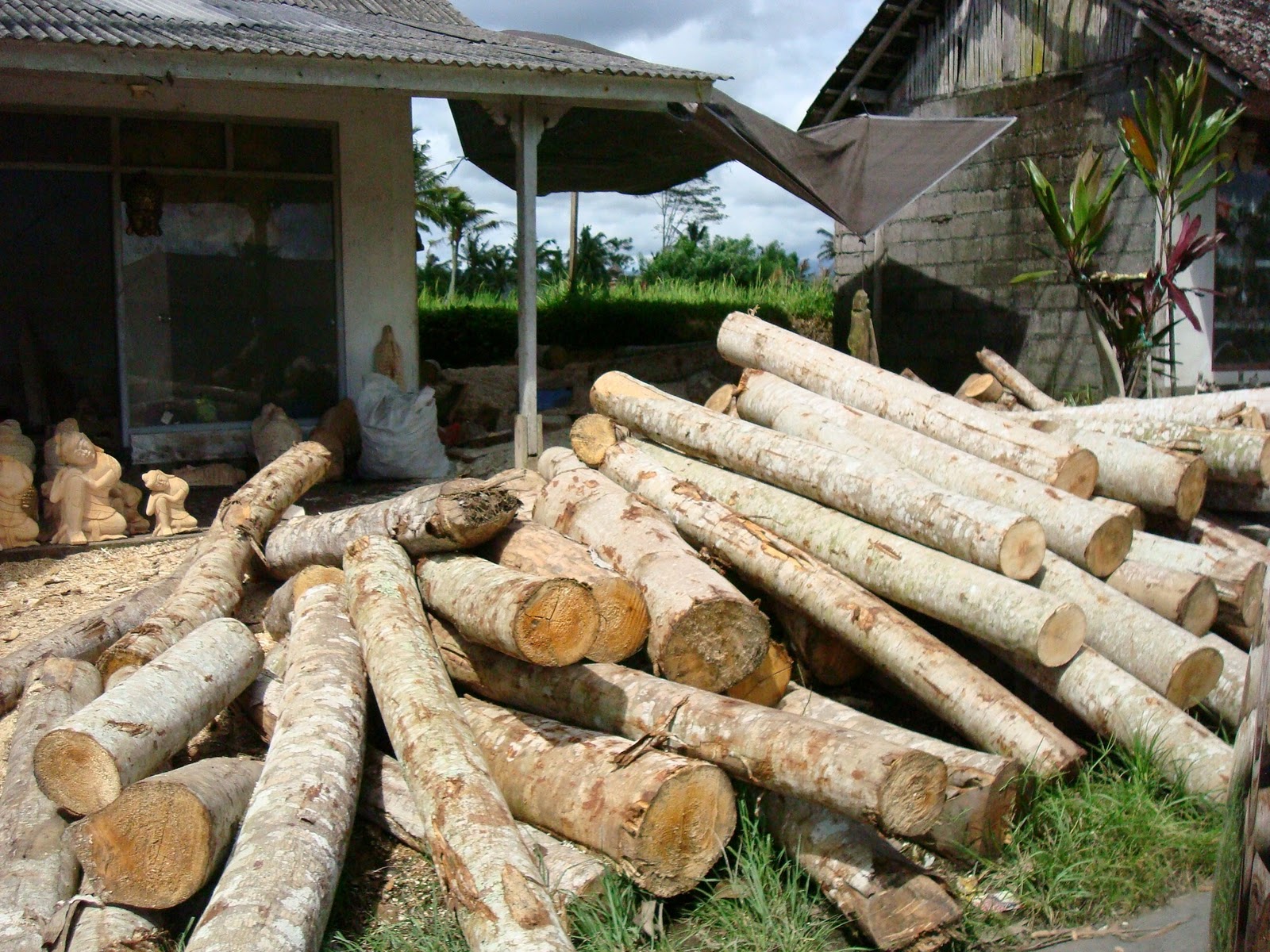 Importance of forest