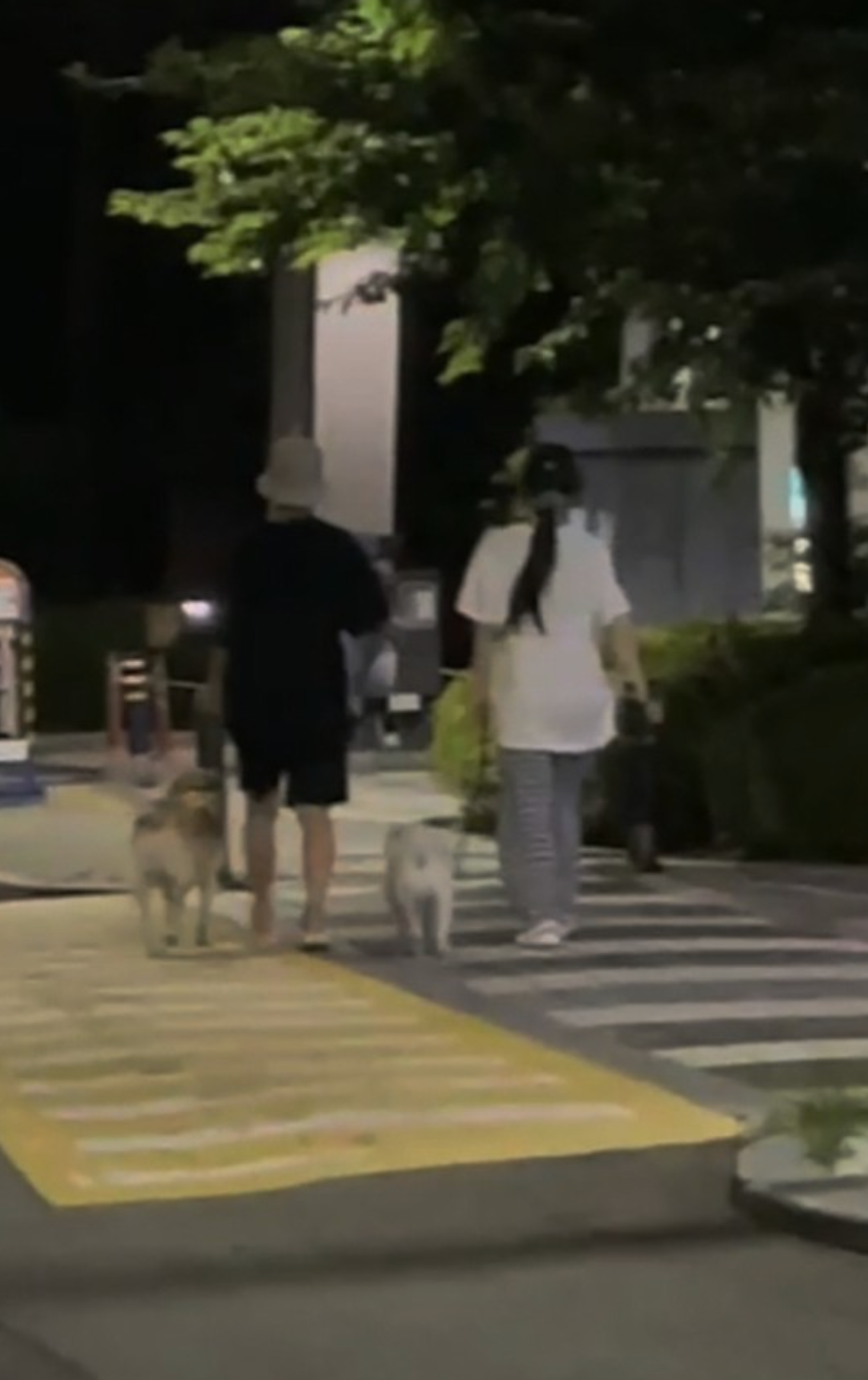 Leaked photos show Red Velvet Joy & Crush on “couple” date - DAILY NAVER