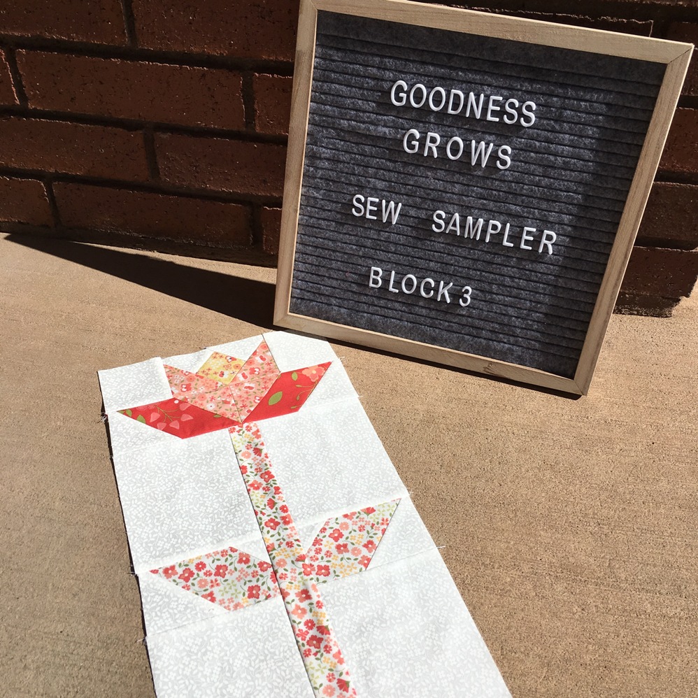 Happy Quilting June Sew Sampler Box!!!