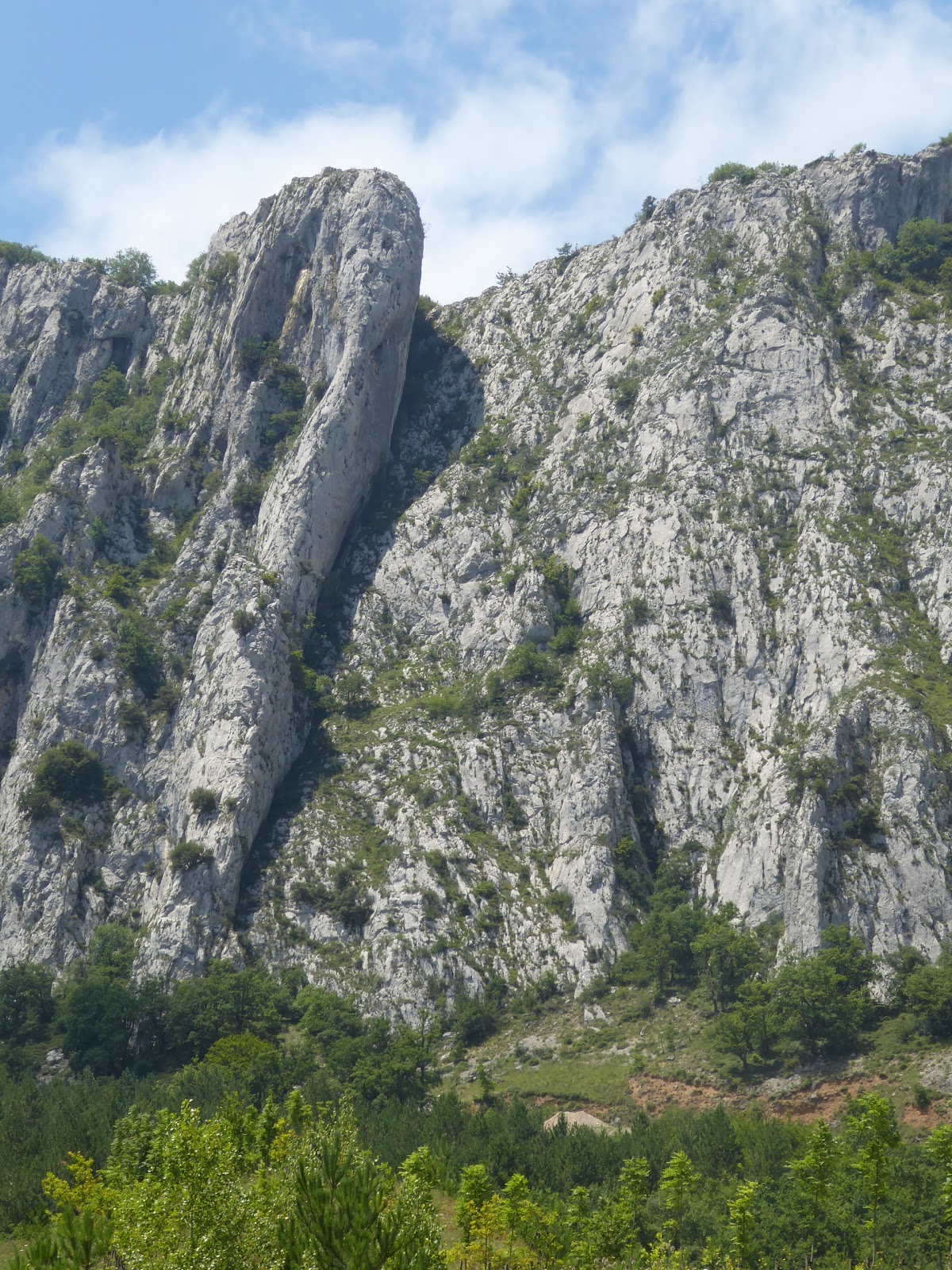 Neskalatzaileak ROCK CIRCUS (ZIORDIA)