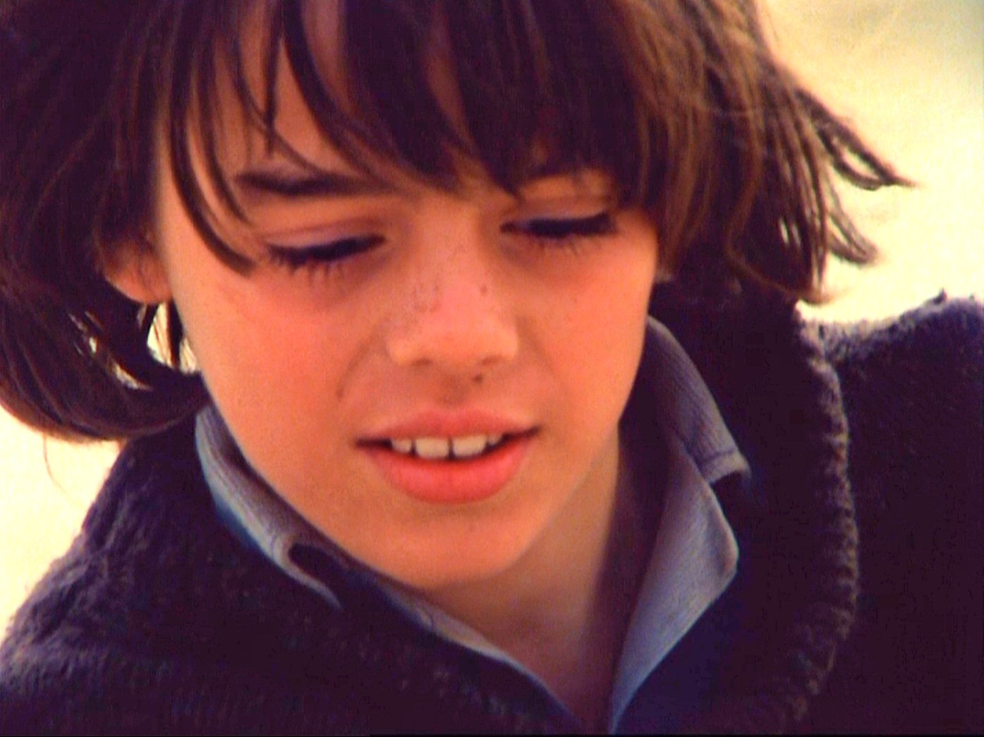 storm boy stc storm boy stc
