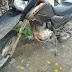 Altinho-PE: Mais uma moto é tomada de assalto no município