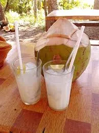 Air Kelapa Segar