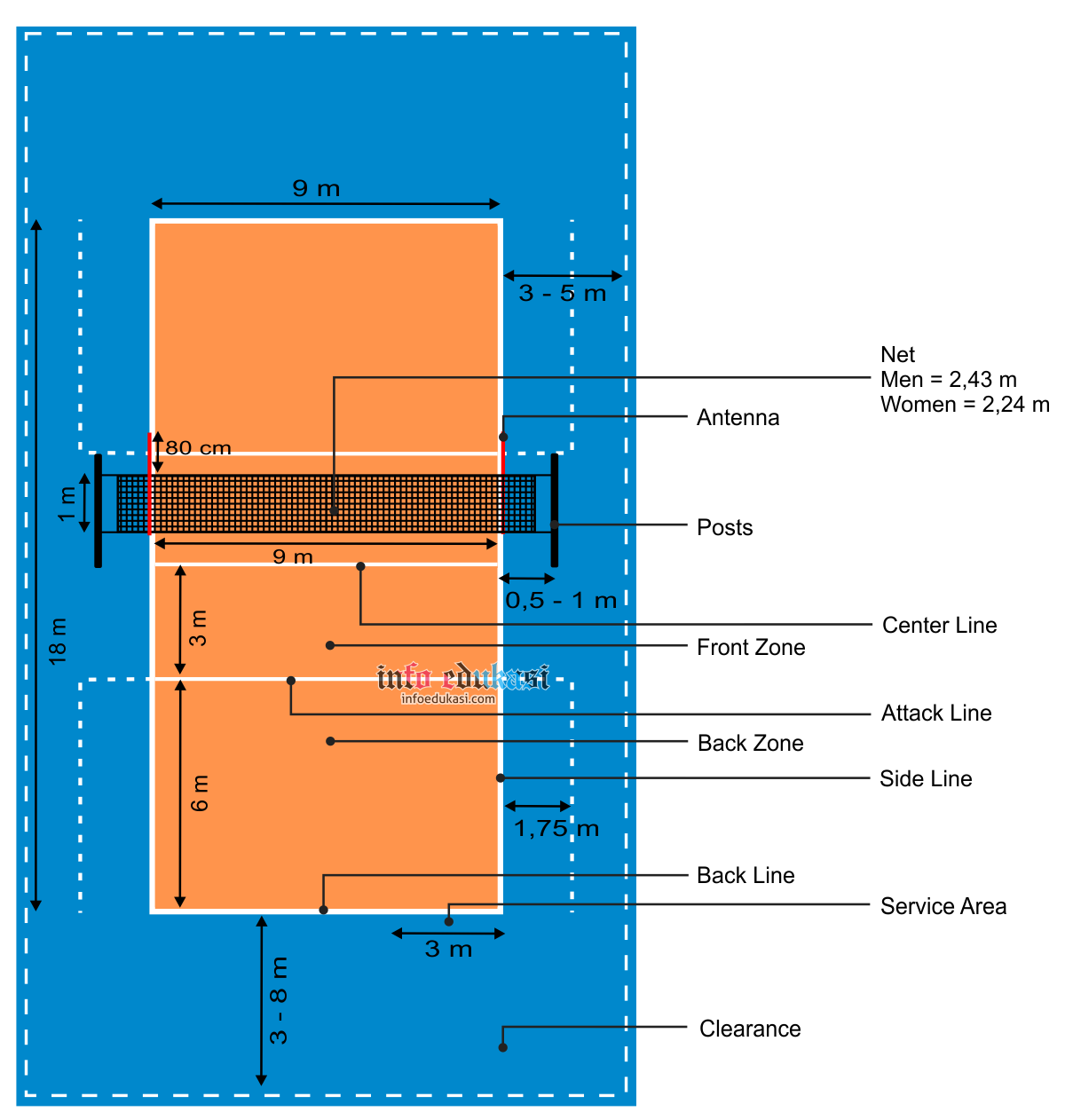 Gambar Lapangan Bola Voli Beserta Ukurannya Dan Keterangannya Info Edukasi Gambar Lapangan Bola Voli Beserta Ukurannya Dan Keterangannya Info Edukasi