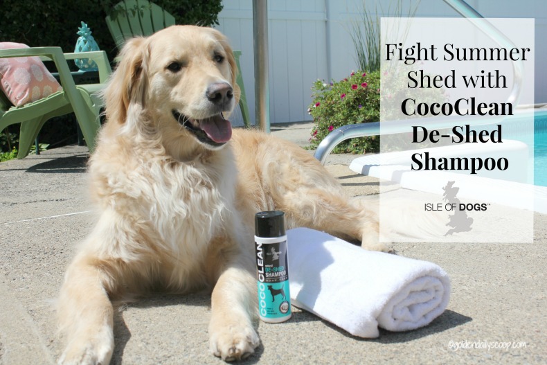 Is It Ok To Bathe Your Dog While He Is Shedding