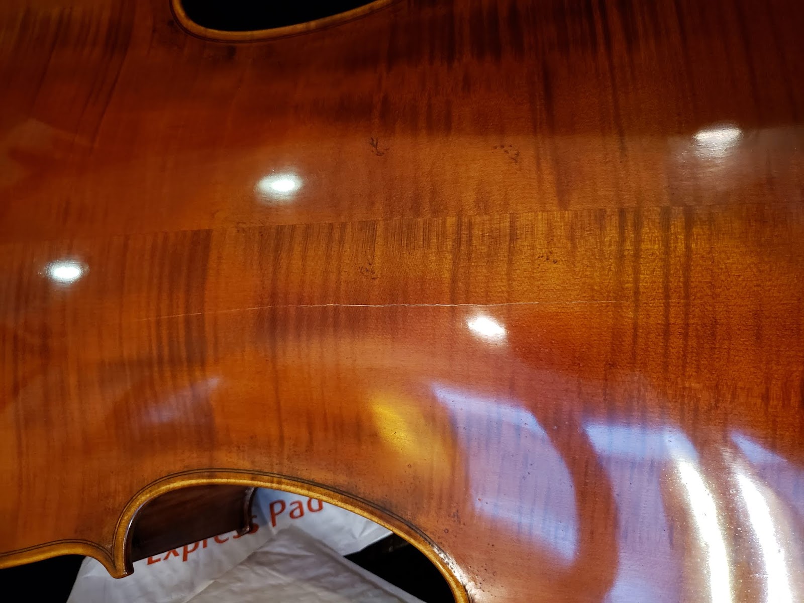 The Violin Shop Rent or Buy Which is Best? We've Done the Math!