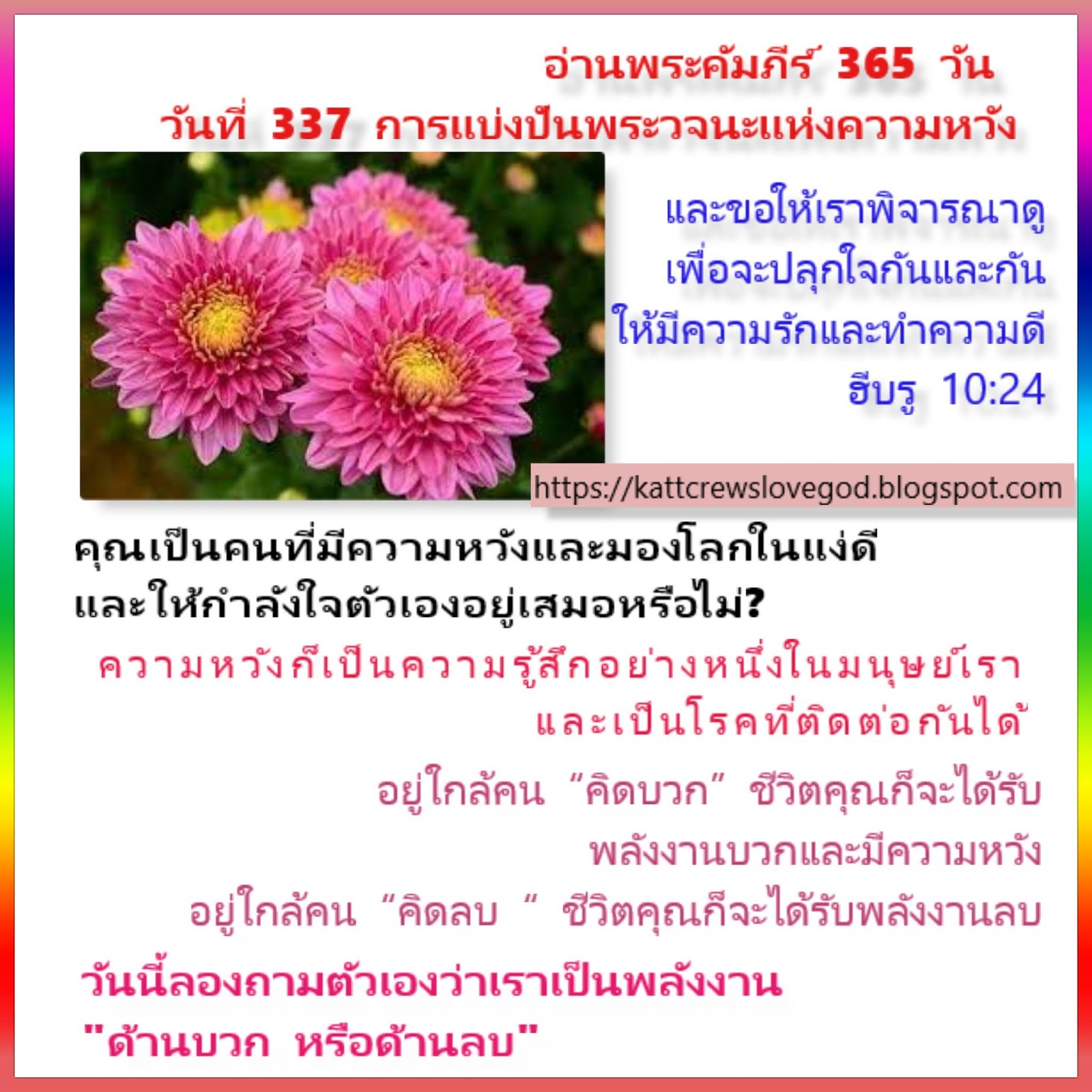 My Image 71