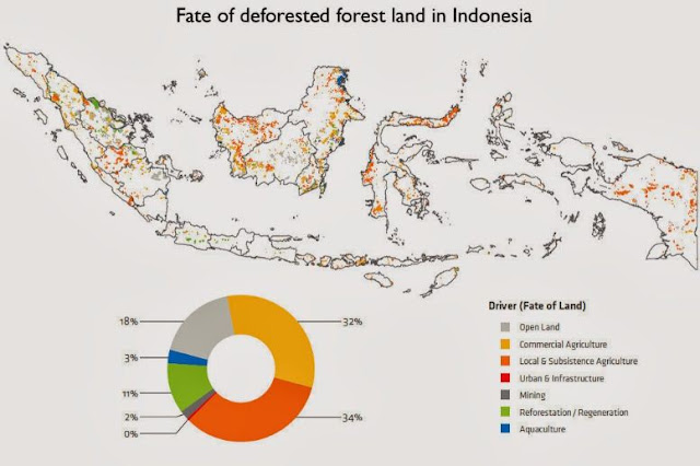 Peta Laju Deforestasi di Indonesia