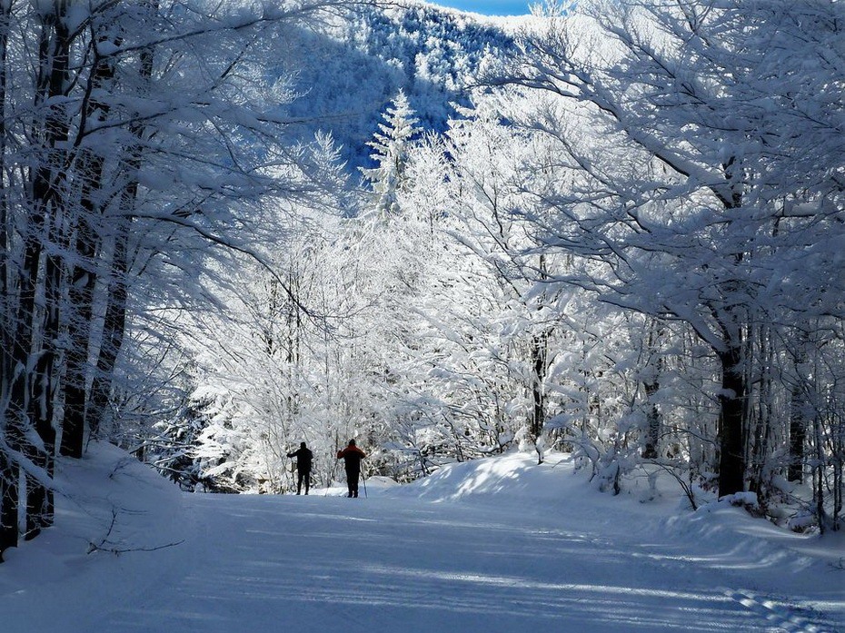Бразилия зимой Бразилия зимой