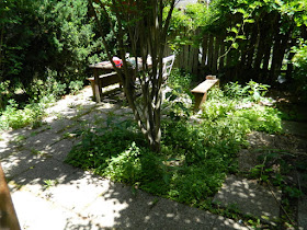 Leslieville garden cleanup before weeding by Paul Jung Gardening Services Toronto