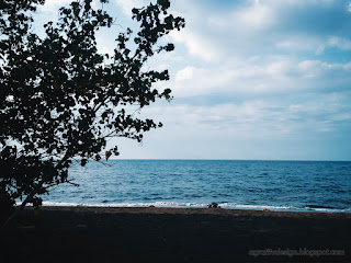 Natural Environment And Wild Plants Of Tropical Beach Scenery At The Village Umeanyar North Bali Indonesia