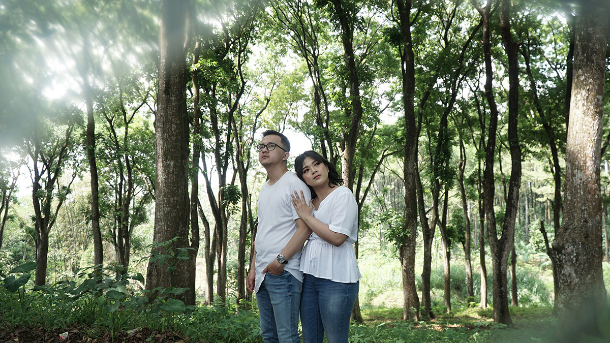 sharabayu (21)