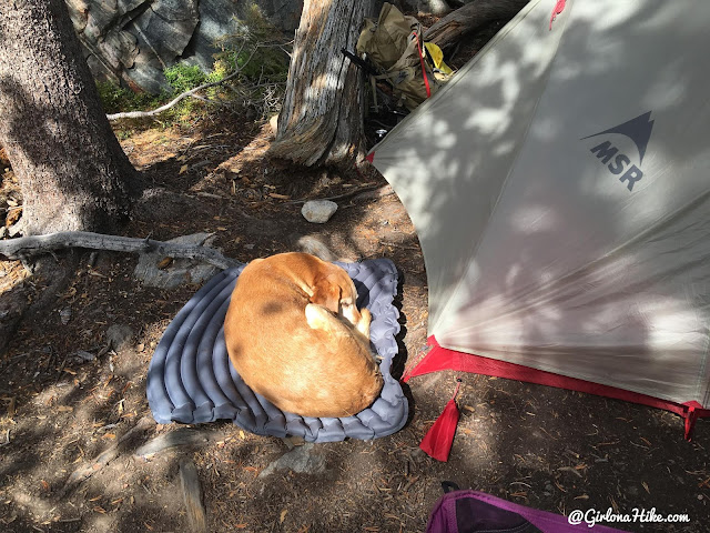 Backpacking to the Dinwoody Lakes, Wind Rivers, Backpacking the Glacier Trail Wind Rivers