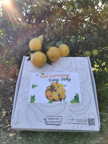 5f88be6c 5256 4715 a9e8 8ee3ade5d512