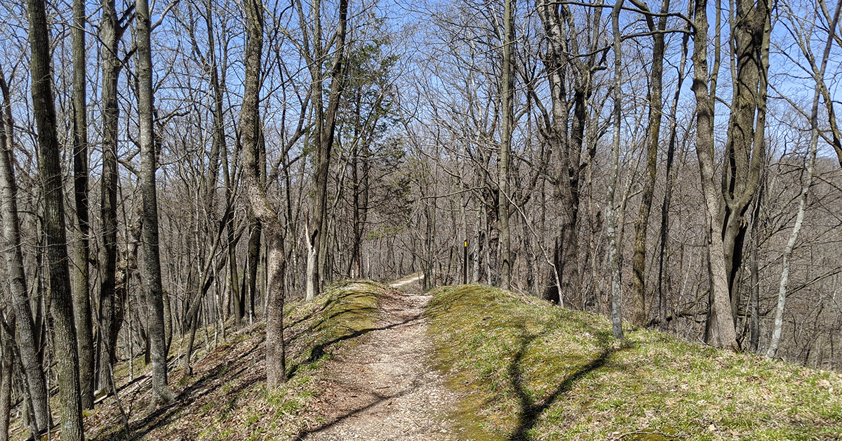 narrow gravel trail over a large hill with bare trees