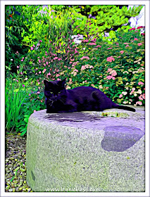 Parsley's Garden Selfie ©BionicBasil® Caturday Art Hop