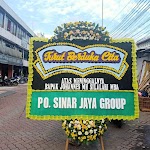 BPDC 010 BPDC 010