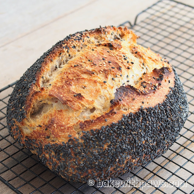 Sesame Open Crumb Sourdough Bread BAKE WITH PAWS
