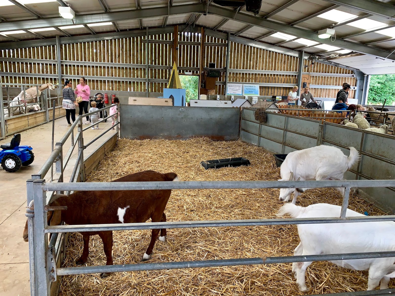 Review Barleylands Farm Park, Billericay Essex Counting To Ten