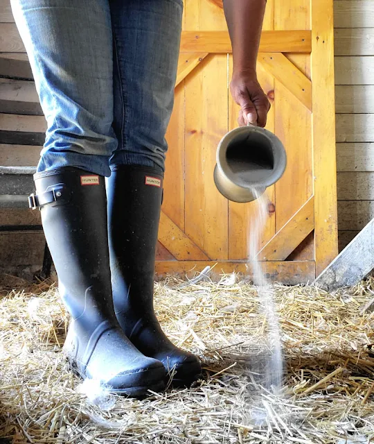 All about Diatomaceous Earth In your Chicken Coop, Garden and Home