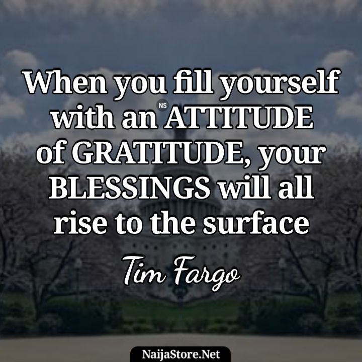 Tim Fargo's Quote When you fill yourself with an attitude of gratitude, your blessings will all rise to the surface - Motivational Quotes