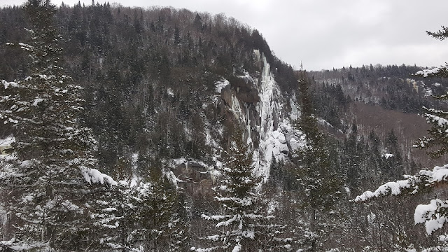 Sentier en direction du mont Nixon
