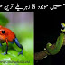 Zehreely Tareen Janwar - زہریلے جانور - خطرناک جانور