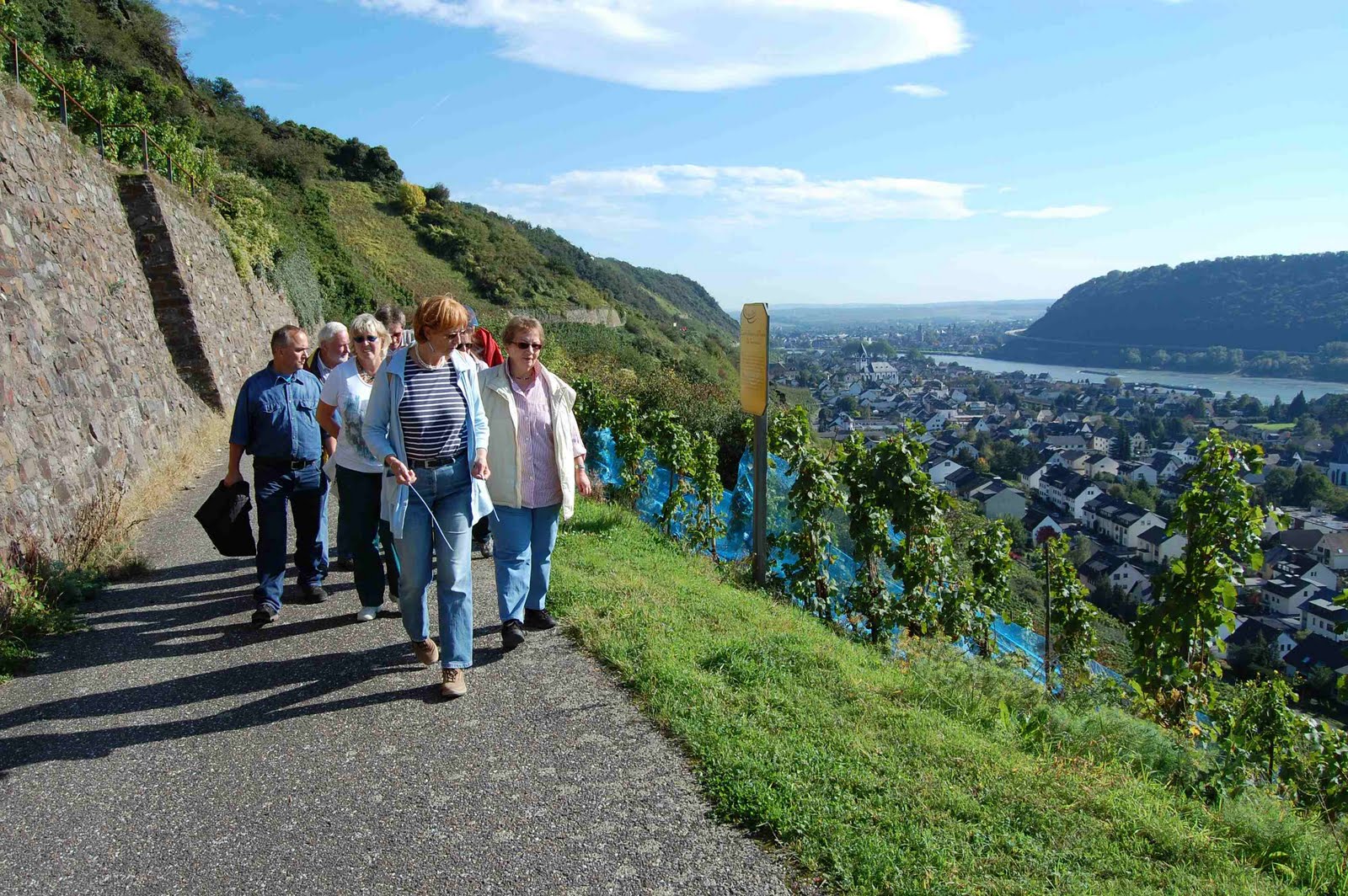 Weinbruderschaft MittelrheinSiebengebirge Wanderung von Hammerstein