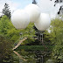 Hermoso paisaje en jardín con globos de helio.
