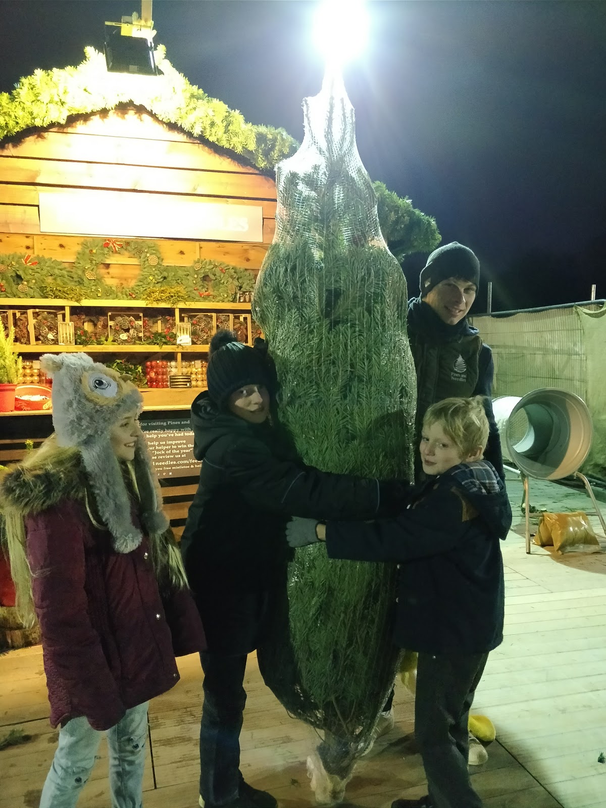 FREE Christmas Trees for Schools & Charities from Pines & Needles.