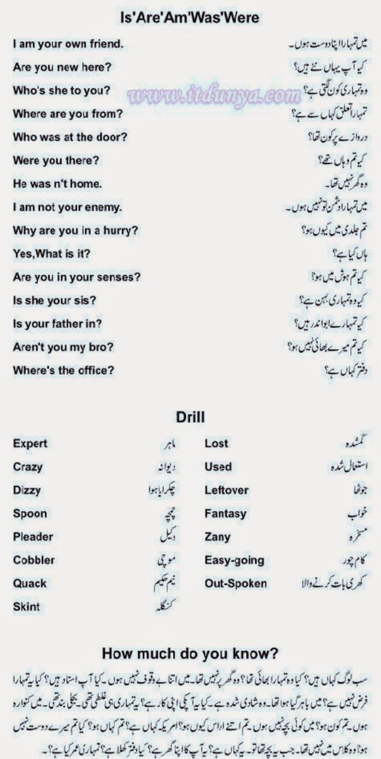 Learn English In 100 Days Pdf