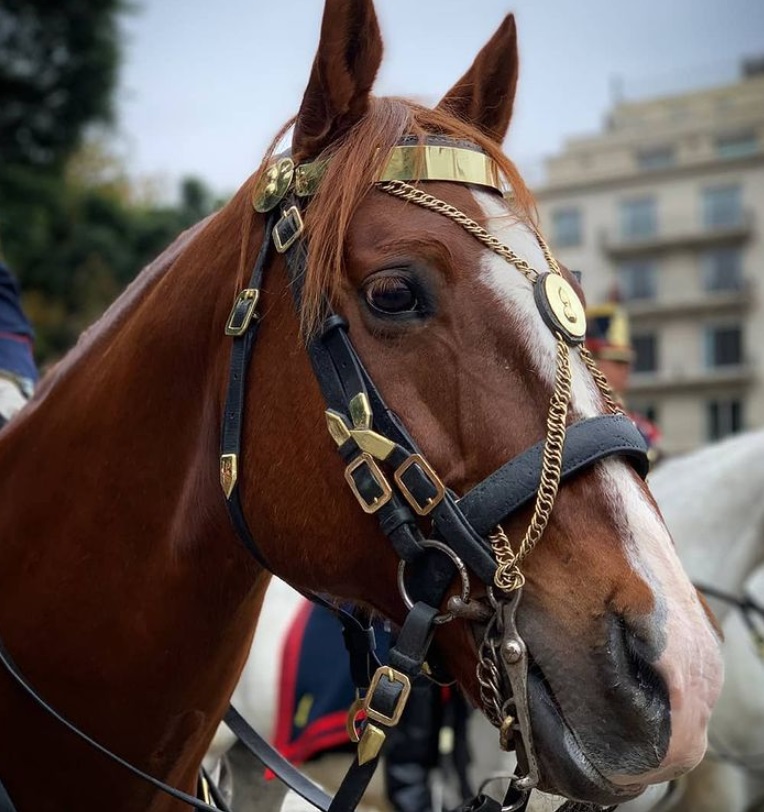 El ejército Argentino en Buenos Aires