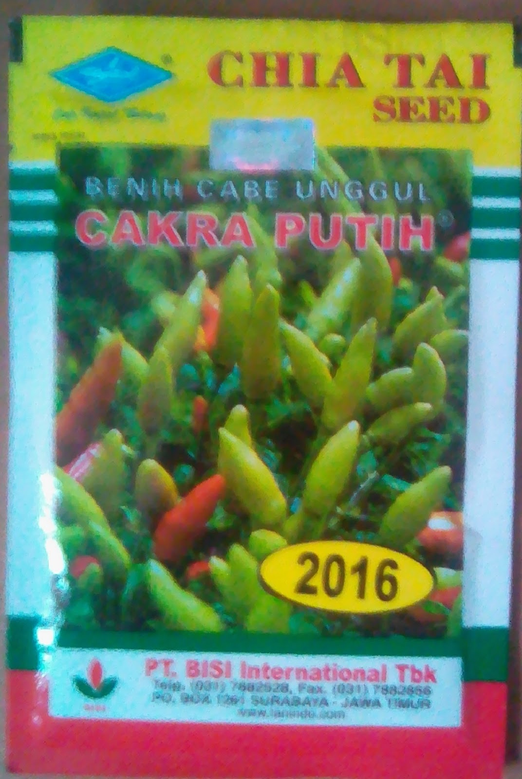 benih cabe rawit cakra putih bibit unggul benih cabe rawit cakra putih bibit unggul