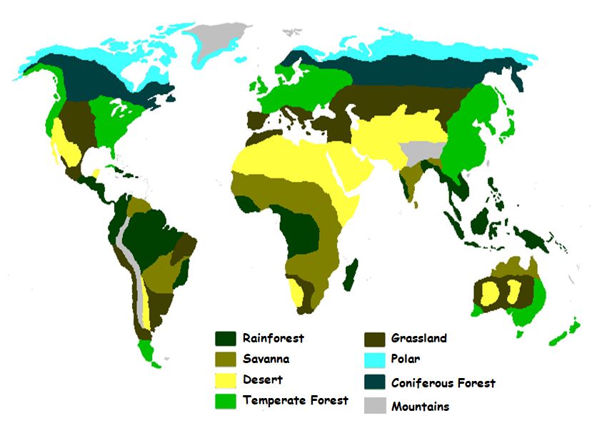 Iman's Homeschool The Curriculum Climate Zones & Biomes