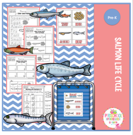 Salmon Life Cycle ~ Preschool Printables