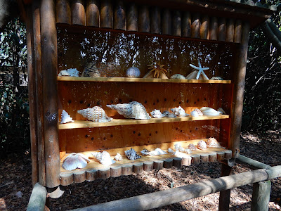 Parco Gallorose（ガッロロゼ公園）貝殻の展示