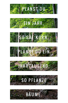 Die 50 besten Zitate zu den Themen Wald und Bäume | Waldzitate | Baumzitate | Naturzitate | Zitate-Wald | Inspirierende-Zitate