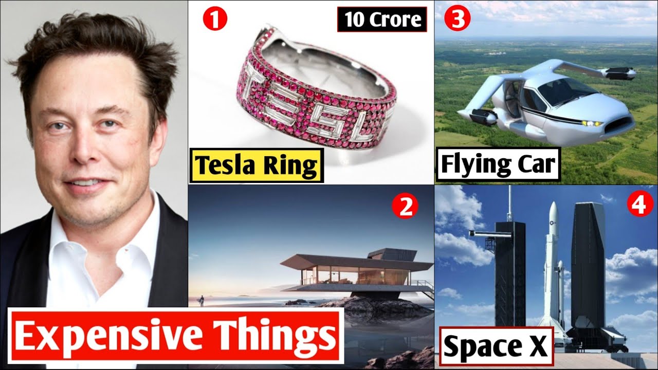 10 Most Expensive Things Owned By Elon Musk Richest Person in the