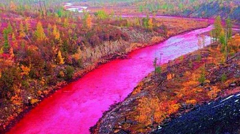 Siberian River Turns Red As Blood Morgan Magazine