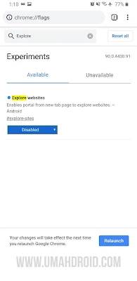 Google Chrome Flags Explore Website