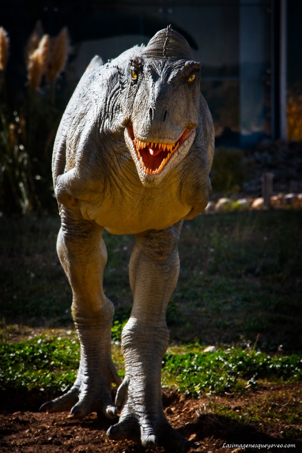 Museo de Paleontología de Castilla la Mancha (MUPA). Tierra de Dinosaurios