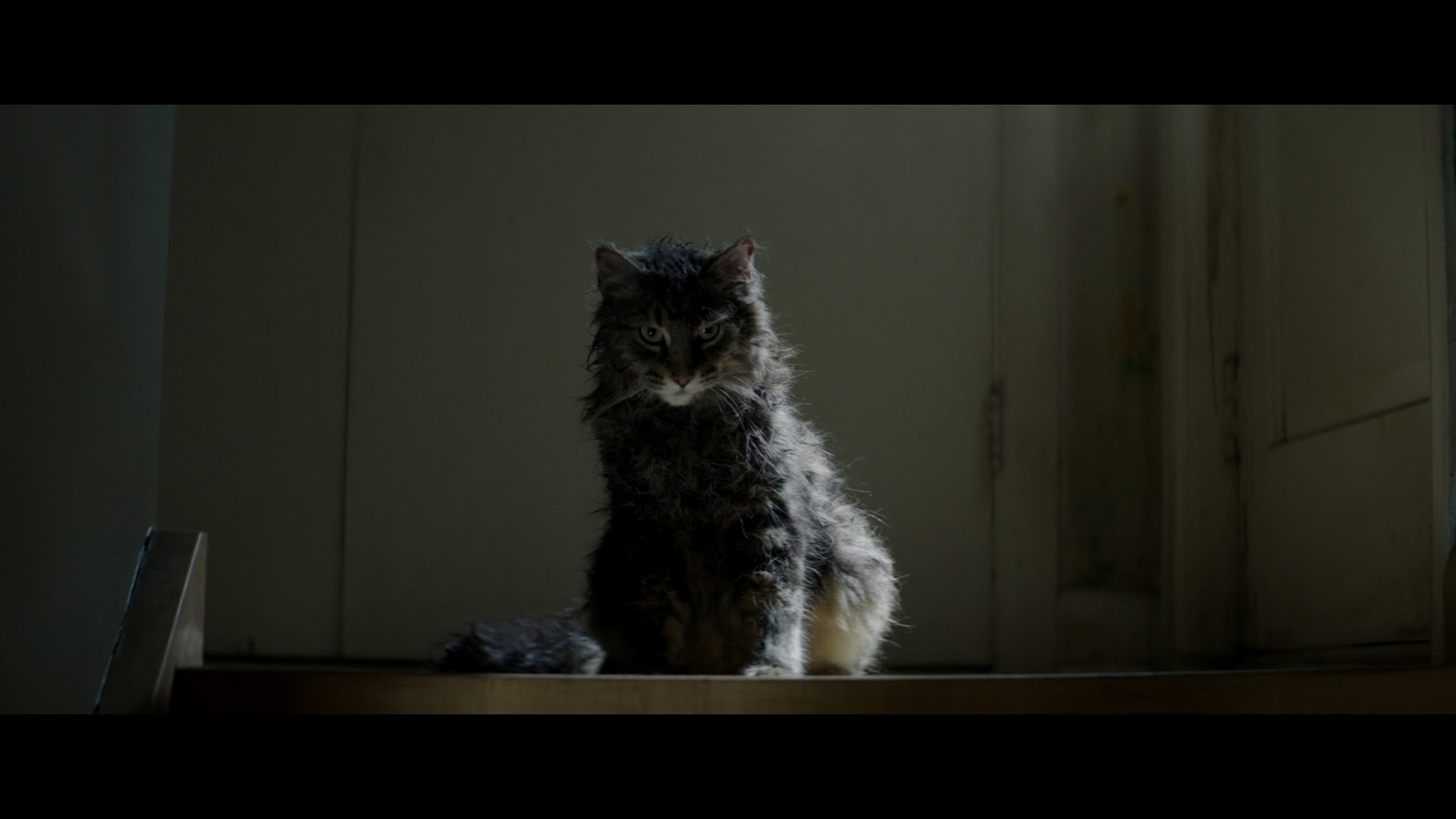 PET SEMATARY (2019) (4K UltraHD Review) 