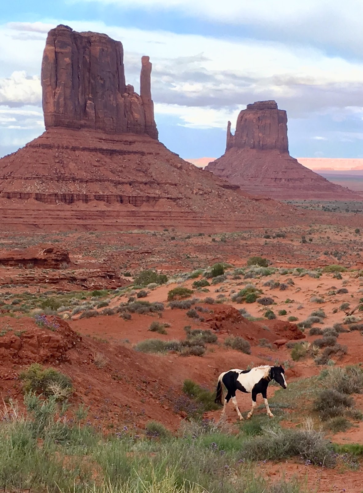 Running Routes Monument Valley Wildcat Trail Running Route