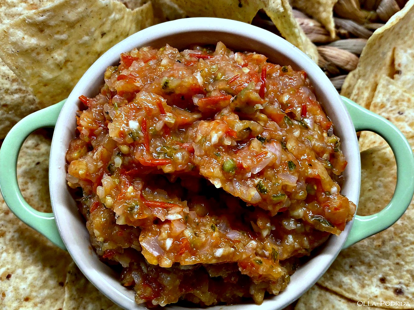 OllaPodrida Fresh ZucchiniTomato Salsa