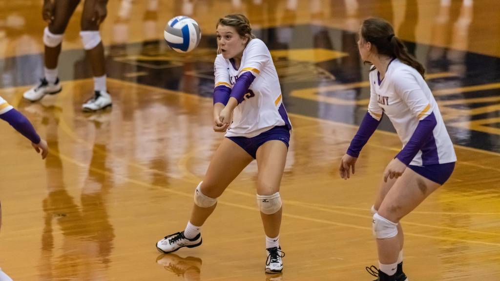 University of Albany