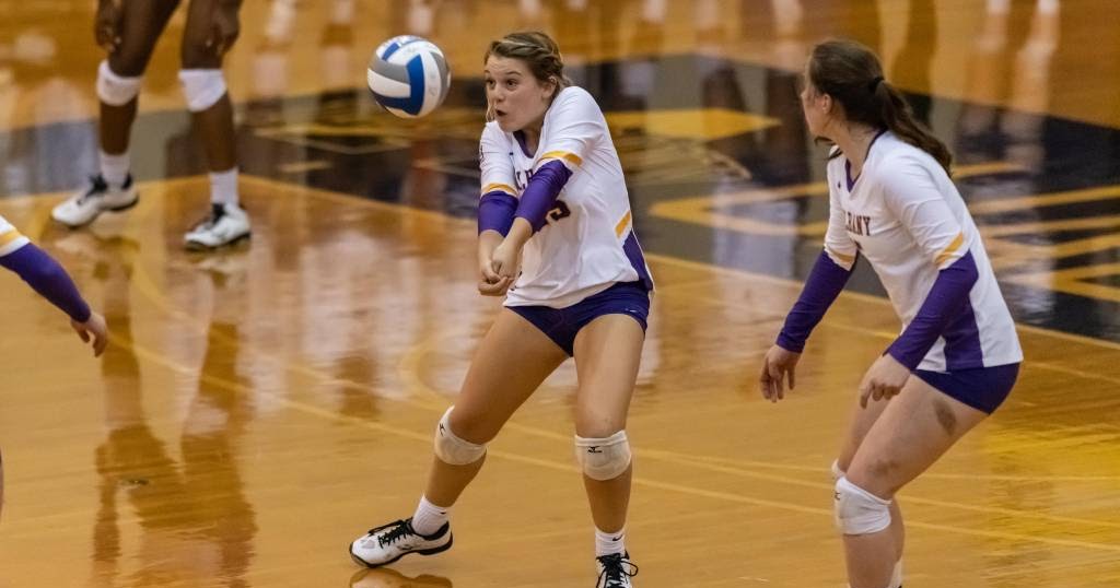 University of Albany University of Albany Volleyball Dominates Siena