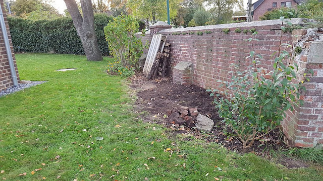 Sternensinn Garten Und Mehr 2019