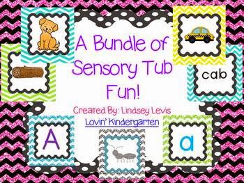 http://www.teacherspayteachers.com/Product/Sensory-Tub-Activities-BUNDLE-765281