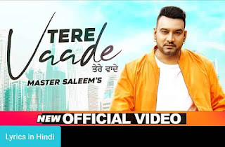 तेरे वादे Tere Vaade Lyrics in Hindi | Master Saleem
